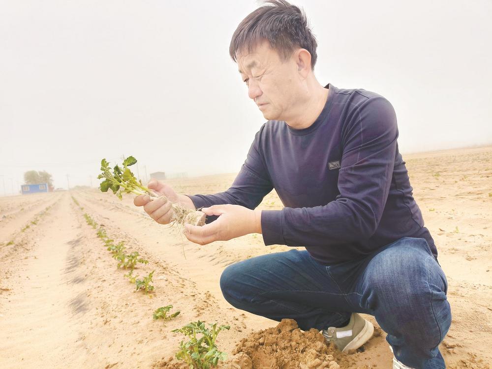 fe32ac39fa7a288c89227b1b9ca67e5 fe32ac39fa7a288c89227b1b9ca67e5